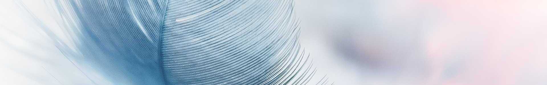 feather_blue_-_1920x300px.jpg