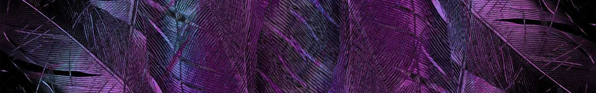 feather_purple_-_1920x300px.jpg